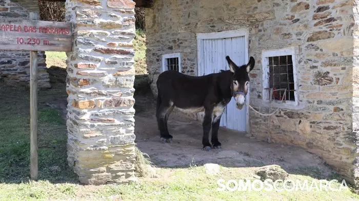 somoscomarca_quiroga_mostradoaceite43