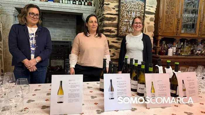 WhatsApp Image 2026-03-29 at 15.04.14