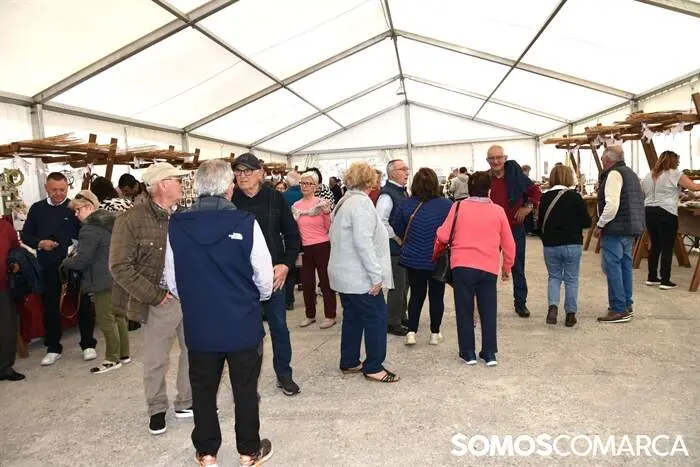 somoscomarca_20260404_obolo_lentellais_festadavitela (8)