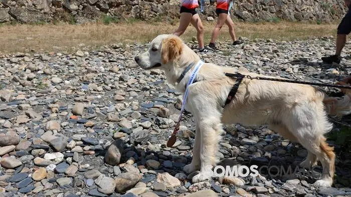 somoscomarca_obarco_aguasbravas (78)