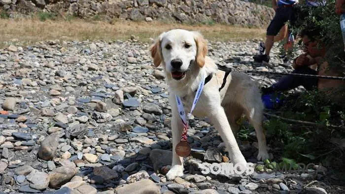 somoscomarca_obarco_aguasbravas (79)