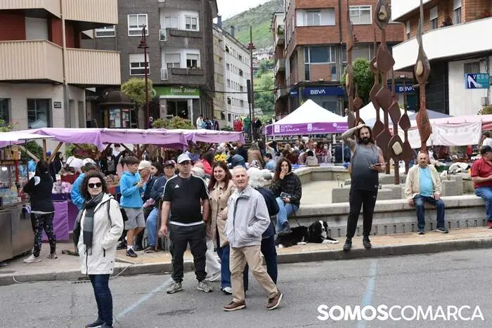 somoscomarca_20260501_obarco_plazaprincipe_destadosmaios (5)