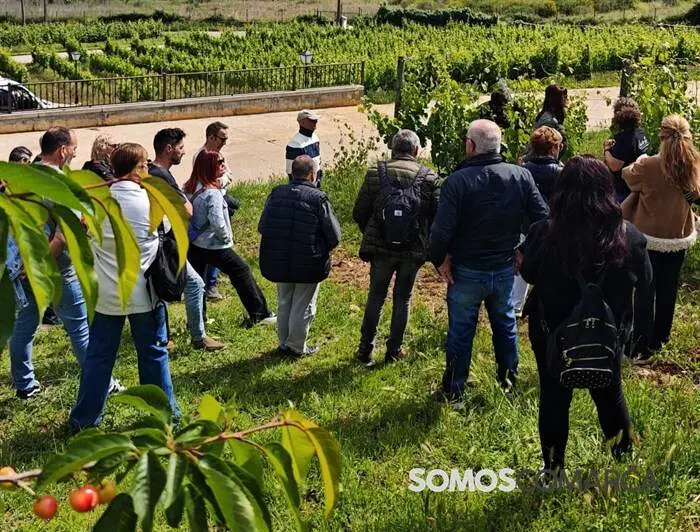 somoscomarca_rutadelvino&uml;primaveraportasabertas_terri&ntilde;a