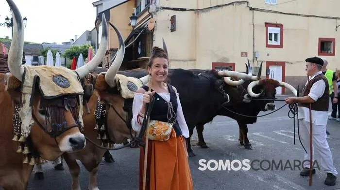 somoscomarca_petin_feria18121366