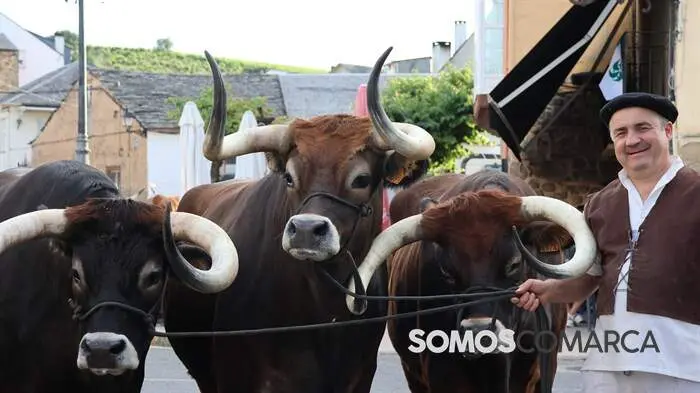 somoscomarca_petin_feria18121367