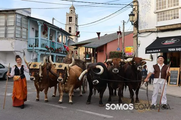 somoscomarca_petin_feria18121359