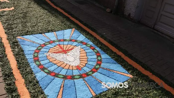 somoscomarca_arua_alfombrase corpus (8)