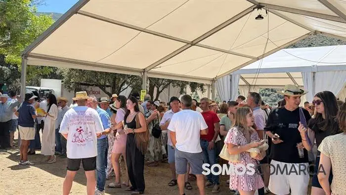 somoscomarca_sanpedrodetrones_fiestadelacabrera_puentededomingoflorez2180