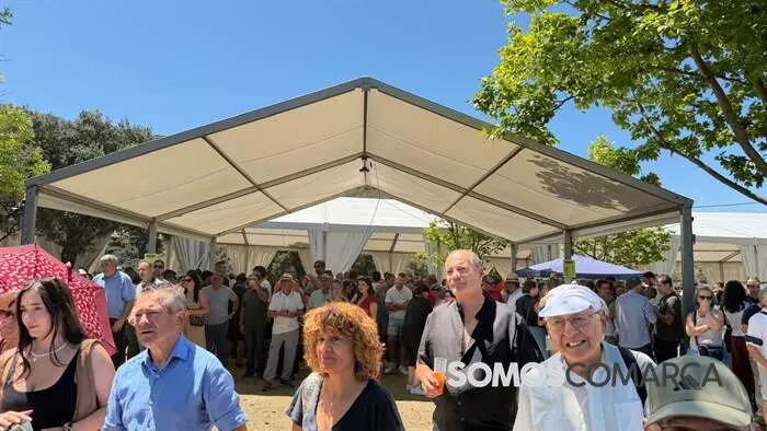 somoscomarca_sanpedrodetrones_fiestadelacabrera_puentededomingoflorez2185
