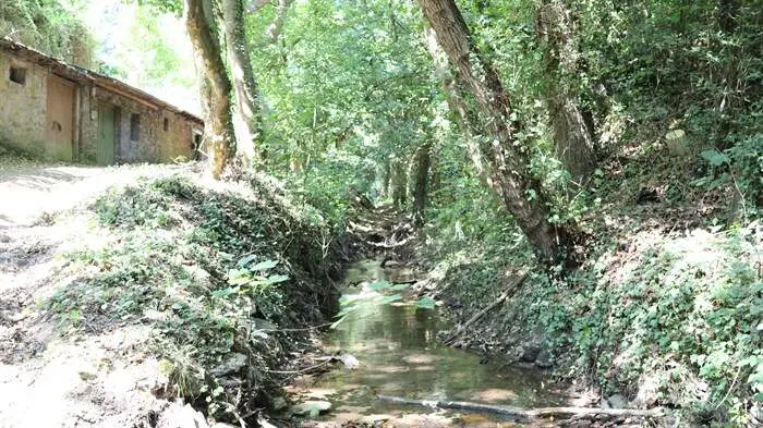 somoscomarca_arua_pinguelas_regueirodaruaJPG (32)