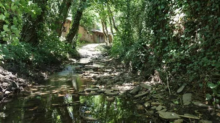 somoscomarca_arua_pinguelas_regueirodaruaJPG (33)