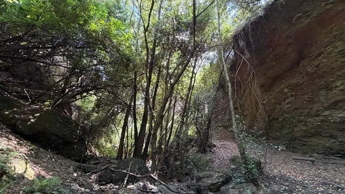somoscomarca_arua_pinguelas_regueirodaruaJPG (4)