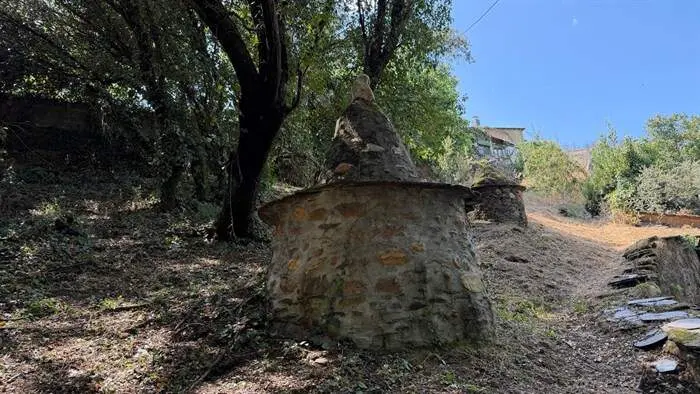 somoscomarca_arua_pinguelas_regueirodaruaJPG (6)