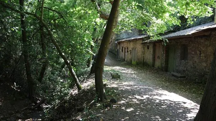 somoscomarca_arua_pinguelas_regueirodaruaJPG (11)