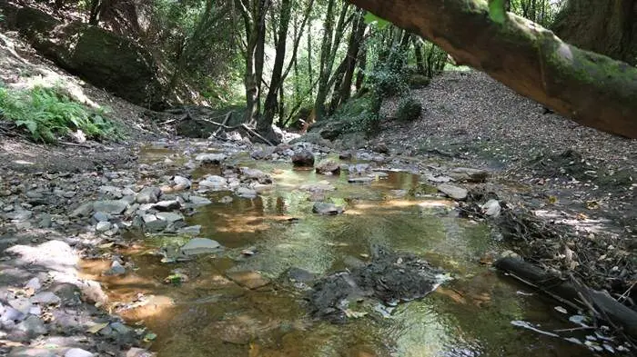 somoscomarca_arua_pinguelas_regueirodaruaJPG (30)