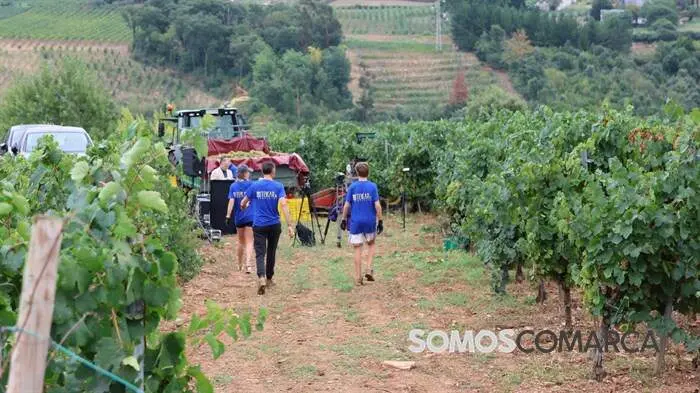 somoscomarca_obarco_alfonsorueda_vendimia_cooperativabarco3897