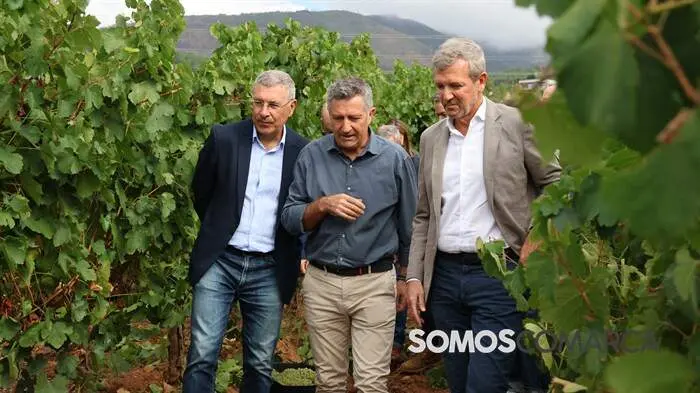 somoscomarca_obarco_alfonsorueda_vendimia_cooperativabarco3904