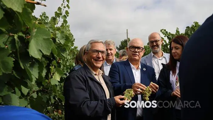 somoscomarca_obarco_alfonsorueda_vendimia_cooperativabarco3908