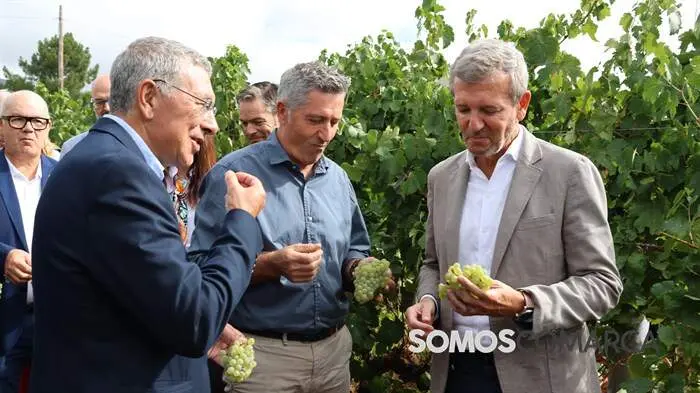 somoscomarca_obarco_alfonsorueda_vendimia_cooperativabarco3910