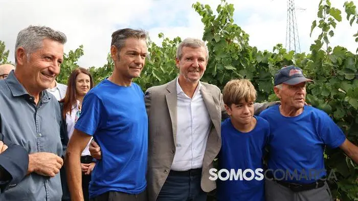 somoscomarca_obarco_alfonsorueda_vendimia_cooperativabarco3912