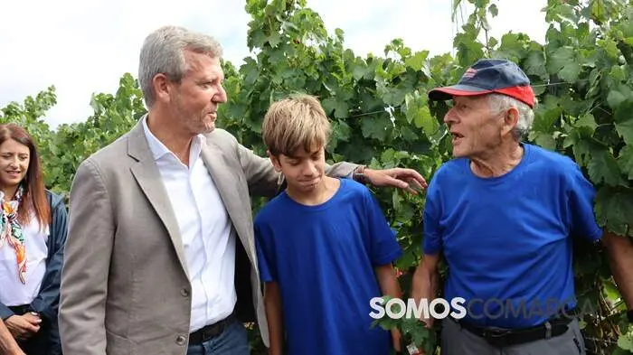 somoscomarca_obarco_alfonsorueda_vendimia_cooperativabarco3913