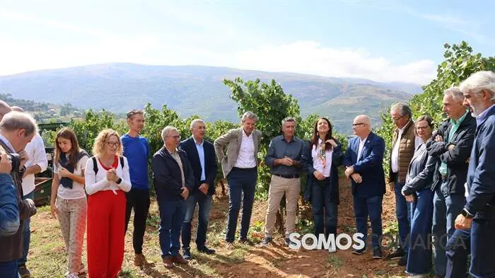 somoscomarca_obarco_alfonsorueda_vendimia_cooperativabarco3918