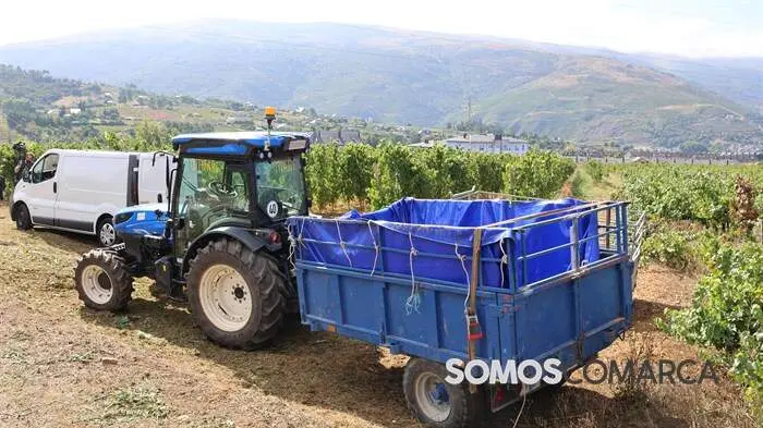 somoscomarca_obarco_alfonsorueda_vendimia_cooperativabarco3919
