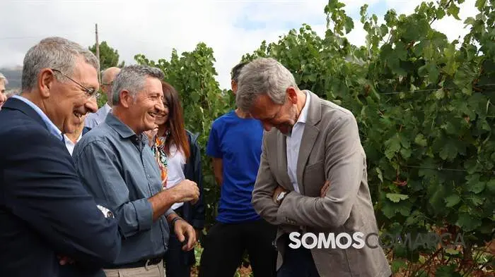 somoscomarca_obarco_alfonsorueda_vendimia_cooperativabarco3922
