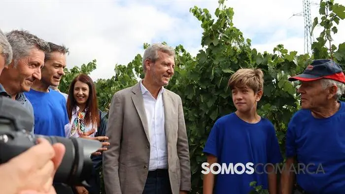 somoscomarca_obarco_alfonsorueda_vendimia_cooperativabarco3921