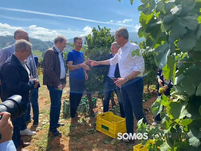 somoscomarca_obarco_alfonsorueda_vendimia_cooperativabarco3945