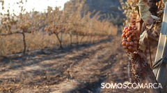 somoscomarca_albaredos_incendio_albaredos_hobbs3400