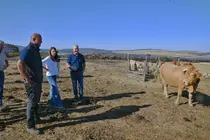 somoscomarca_vilariño_mariajosegomez