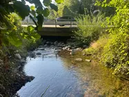 somoscomarca_20251006_vilamartin_arcos_denuncia_rio_farelos1687