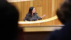 somoscomarca_20251105_carmendacosta_psoe_parlamento1951