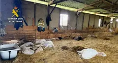 somoscomarca_202600505_pobradetrives_maltratoanimal3424