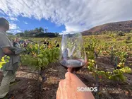 somoscomarca_rutadelvino_copa_vi&ntilde;edo_nubes