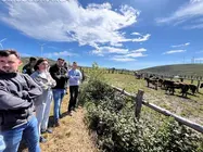 P_somoscomarca_202600520_vilalba_conselleria_lobo3545