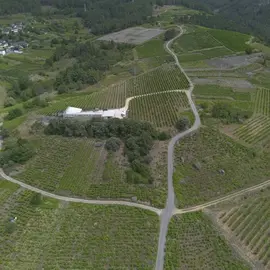 somoscomarca_202412011_arua_bodega_alandeval105 (2)