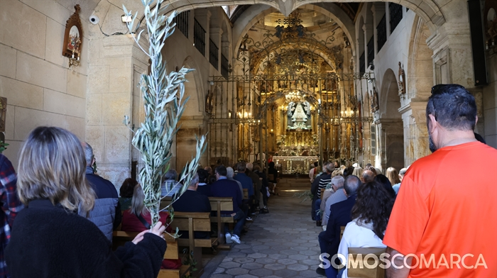somoscomarca_240324_asermitas_domingoderamos_ramos (66)
