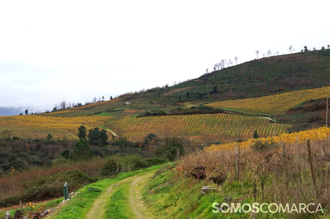 somoscomarca_20241208_larouco_panoramica_codosdelarouco_vi&ntilde;as_oto&ntilde;o (1)