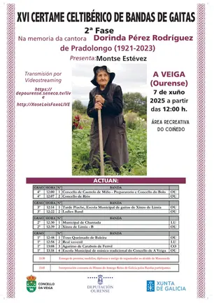 cartel_certameceltiberico