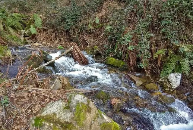 somoscomarca_rubiá_SerraEncinaLAstra_-Os-Castros-a-Niviera-5