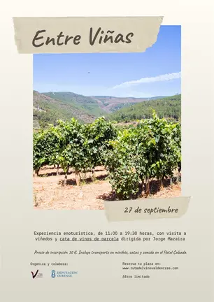 cartel_dovaldeorras