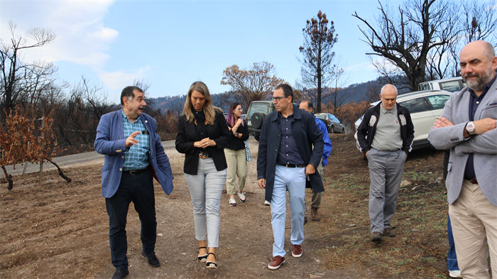 somoscomarca_20250919_arua_viñedo_joquinrebolledo_aeva_viñedoquemado (2)