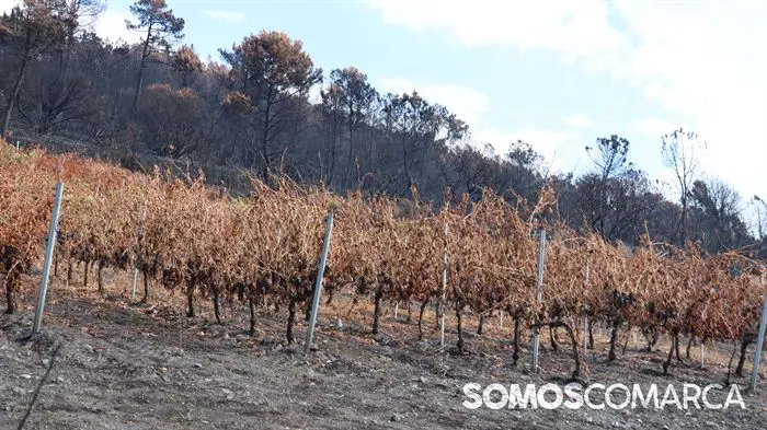 somoscomarca_lentellais_incendio (5)