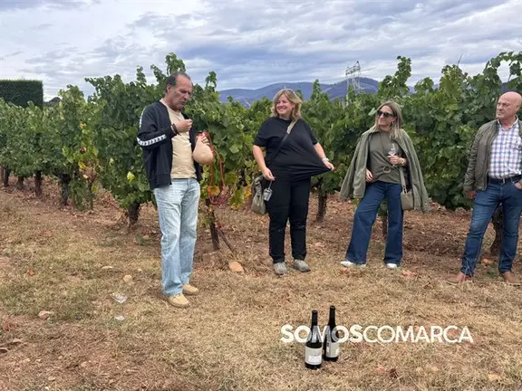 somoscomarca_vino_parcela_fardelas_milrios_cepasvellas_revival836