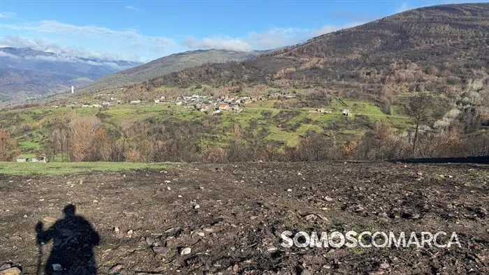 somoscomaca_petin_mones_pamoramicas 1989