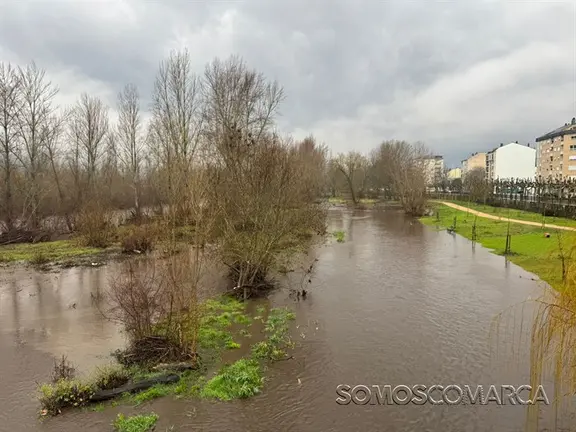 somoscomarca_20260126_obarco_lluvia_sil2577