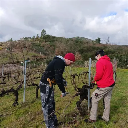 somoscomarca_202600303_inorde_cursopoda3123