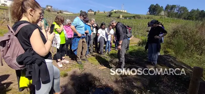 somoscomarca_corgomo_asbarreirasouro_santiagoferrer (1)